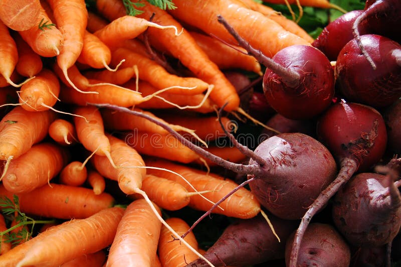 Carrots and beets stock photo. Image of carrots, diet 15295174