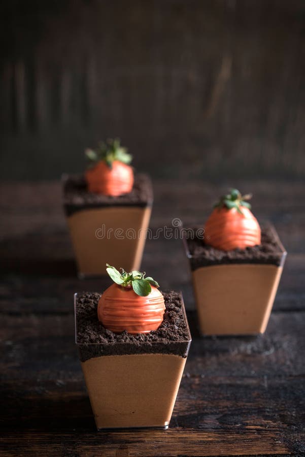 Carrots in chocolate pudding