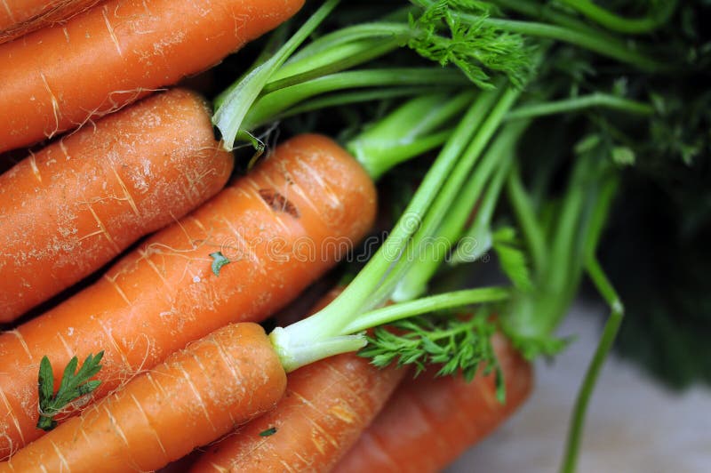 Carrots closeup