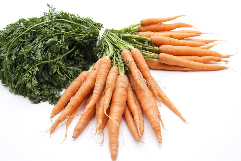 Carrots with leaves stock photo. Image of harvested, vegetables 22059894