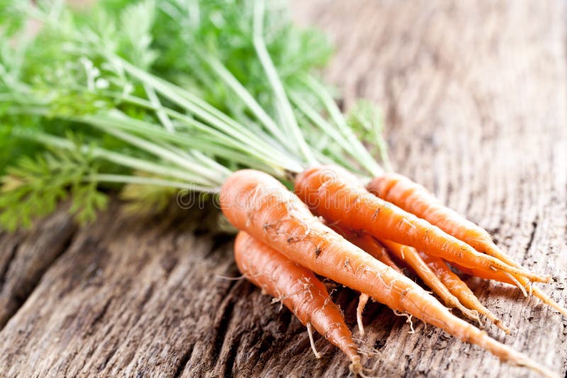 Carrots with leaves