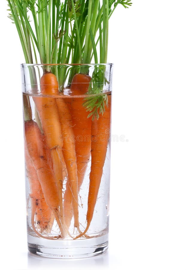 Carrots with leaves standing in a glass of water.