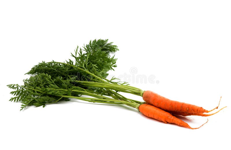 Carrots with leaves