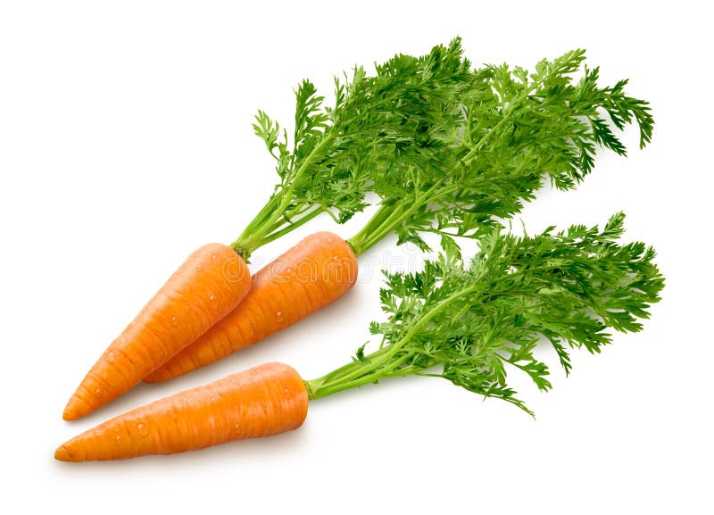 Carrots on white stock image. Image of vegetable, organic 28412677