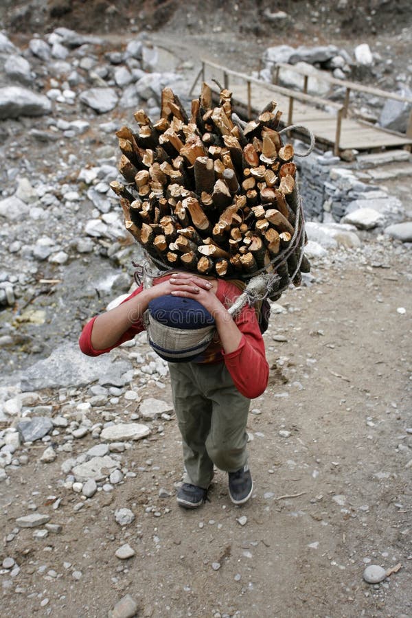 Carrying firewood