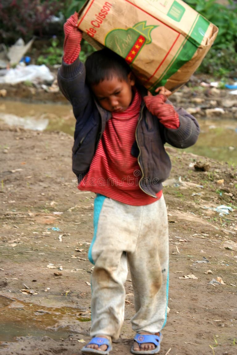 3,432 Carrying Heavy Load Stock Photos Free & RoyaltyFree Stock Photos from Dreamstime