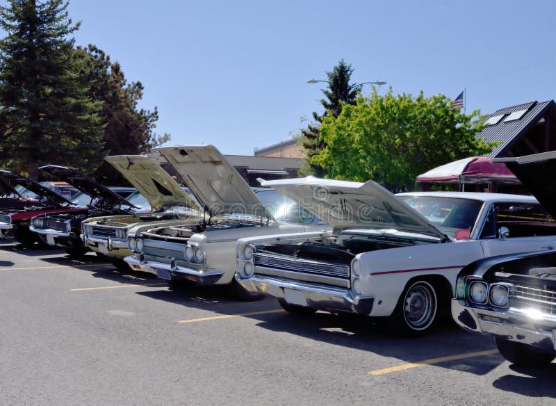 Cars on Display at Summer Car Show Stock Photo Image of cars, hoods