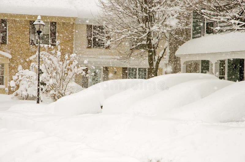 Cars and houses in blizzard
