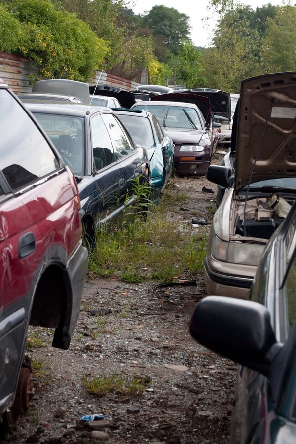 View of the rows of old junked cars in an automotive salvage yard. View of the rows of old junked cars in an automotive salvage yard.