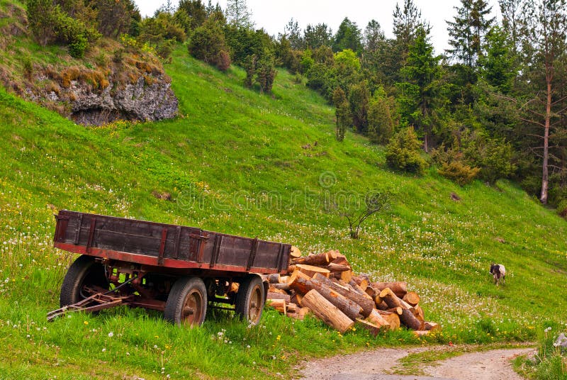 Cart, wood and goat