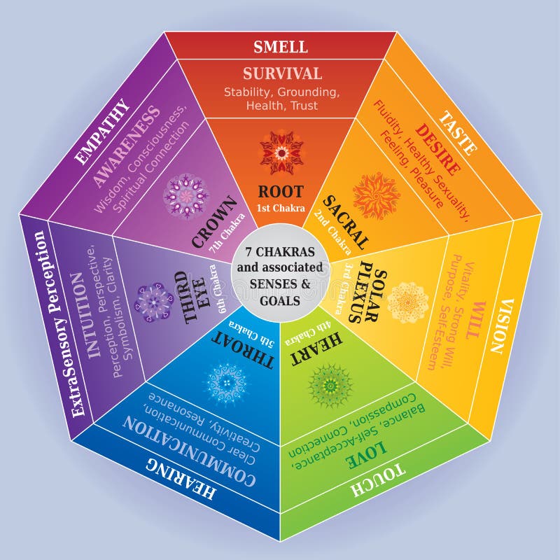 Carta de color de 7 Chakras con las mandalas, los sentidos y los significados asociados ilustración del vector Carta de color de 7 Chakras con las mandalas, los sentidos y los significados asociados ilustración del vector