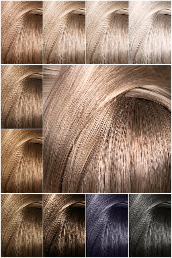 Carta De Color Para Los Tintes Muestras Teñidas Del Color Del Pelo Dispuestas En Una Tarjeta En Filas Aseadas Imagen de archivo - Imagen de collar, cuidado: 142158941 Carta De Color Para Los Tintes Muestras Teñidas Del Color Del Pelo Dispuestas En Una Tarjeta En Filas Aseadas Imagen de archivo - Imagen de collar, cuidado: 142158941
