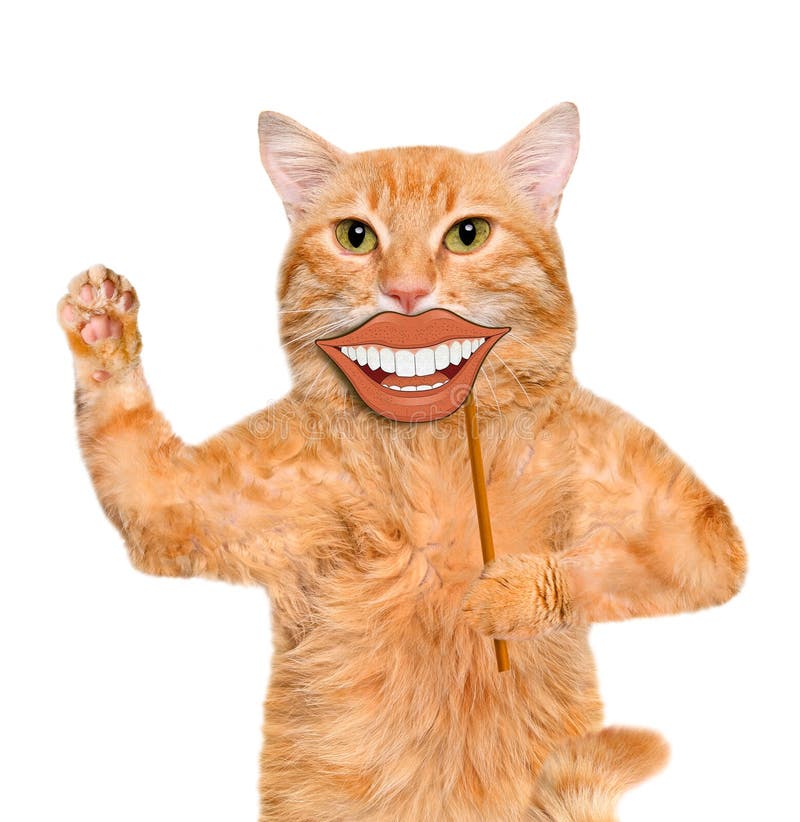 Carta della tenuta del gatto con lo smiley divertente fotografia stock libera da diritti Carta della tenuta del gatto con lo smiley divertente fotografia stock libera da diritti