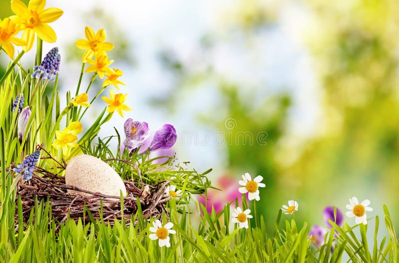 Buona Pasqua Biglietto o Pubblicità immagine stock libera da diritti