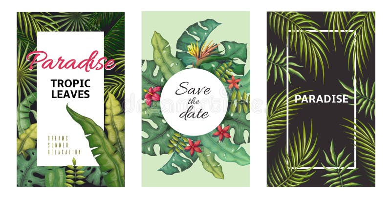 Tropical leaves posters. Jungle plants summer flyers, banana palm leaf pattern, foliage design. Vector palm leaf botanical style poster set. Tropical leaves posters. Jungle plants summer flyers, banana palm leaf pattern, foliage design. Vector palm leaf botanical style poster set
