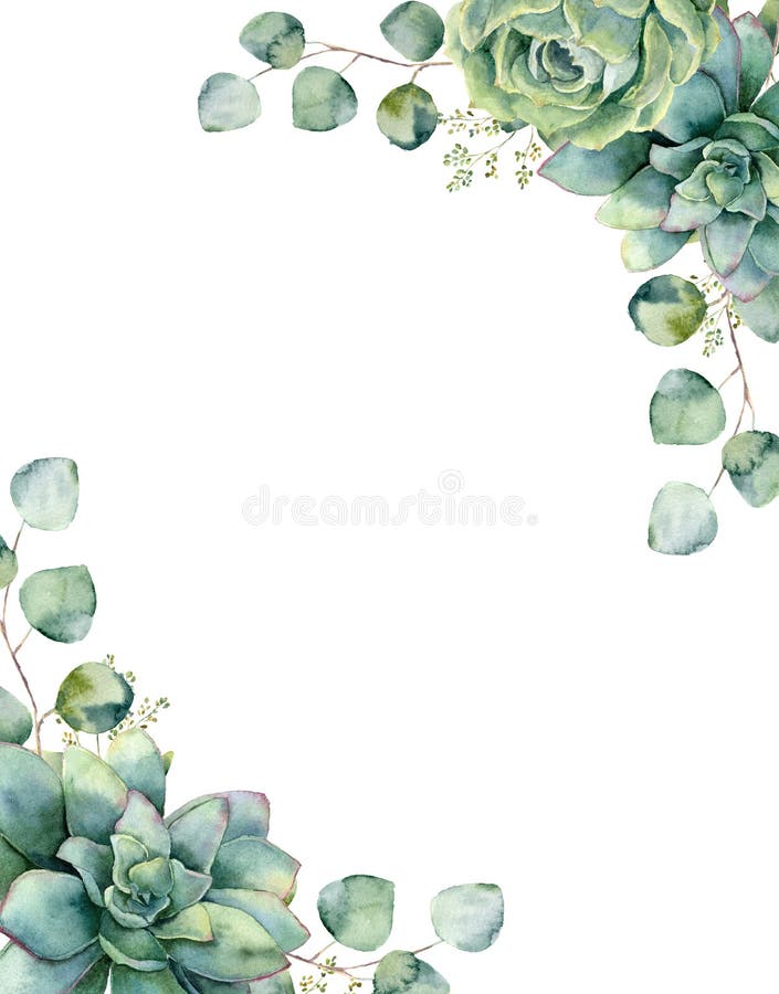 Carte d'aquarelle avec le bouquet exotique Branche d'eucalyptus et feuilles peintes à la main, succulents verts d'isolement sur l