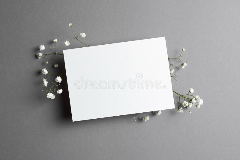 Maquette De Carte Blanche D'invitation Avec Une Gypsophile