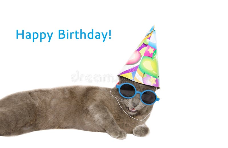 2 7 Chat De Joyeux Anniversaire Photos Libres De Droits Et Gratuites De Dreamstime