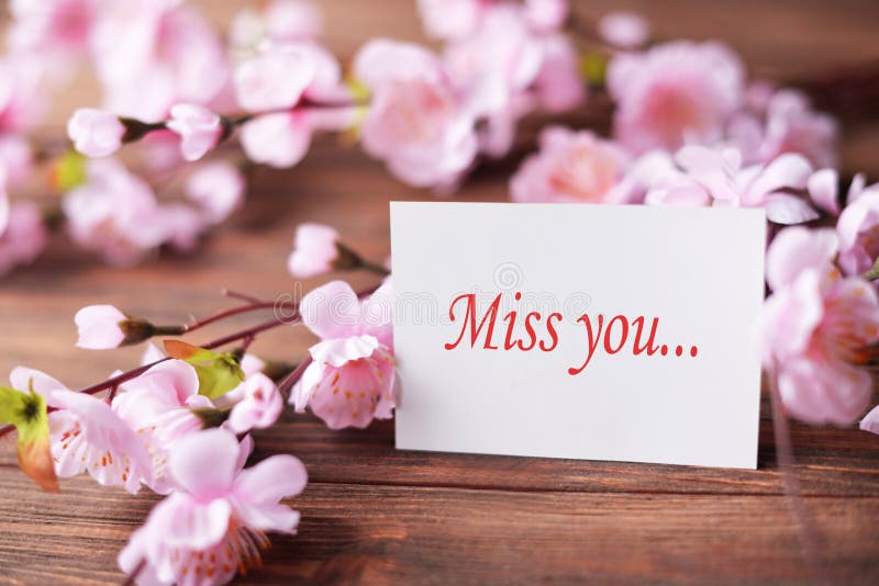 Carte de voeux avec le rose de fleurs avec le cadeau d'amour pour le jour du ` s de mère de jour du ` s de Valentine photographie stock libre de droits Carte de voeux avec le rose de fleurs avec le cadeau d'amour pour le jour du ` s de mère de jour du ` s de Valentine photographie stock libre de droits