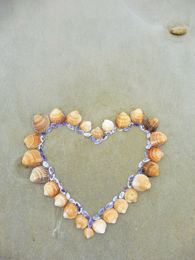 Carte Fond Coquillages Sur La Plage Vue Du Haut Coeur En Forme A Cote De L Ocean Image Stock Image Du Ensuite Meres