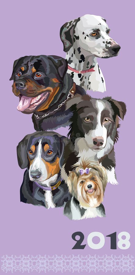 Carte postale avec des chiens de breeds-4 différent illustration stock Carte postale avec des chiens de breeds-4 différent illustration stock