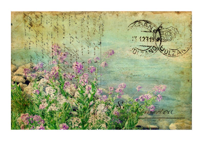 Carte postale de cru avec des fleurs Carte postale de cru avec des fleurs