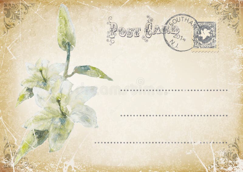 carte postale grunge de vintage avec la fleur Illustration illustration libre de droits carte postale grunge de vintage avec la fleur Illustration illustration libre de droits