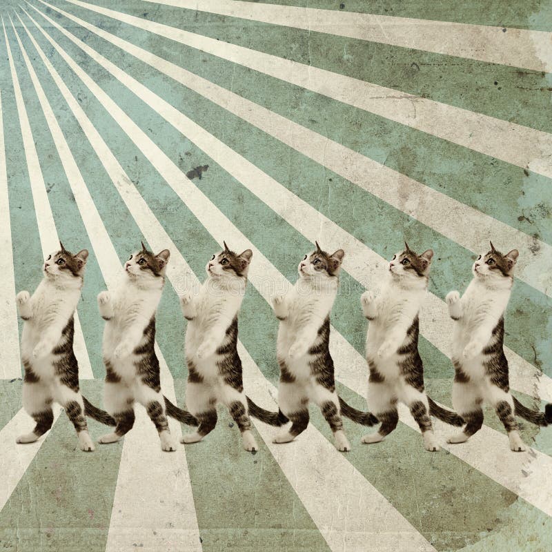 Dancing retro cats stylish vintage poster. Dancing retro cats stylish vintage poster