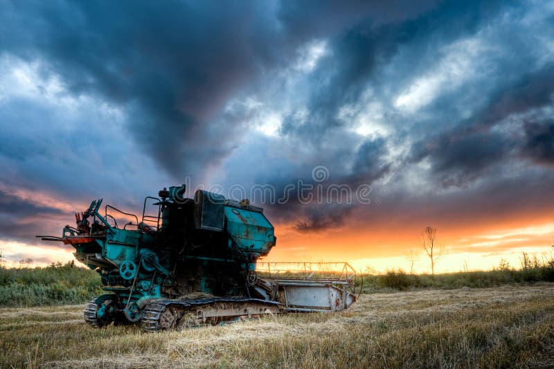 Cartel vert sous le coucher du soleil images stock Cartel vert sous le coucher du soleil images stock