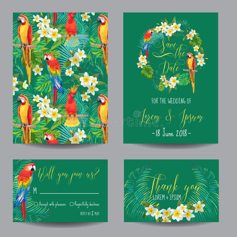 Cartes tropicales de fleurs et d'oiseaux illustration stock Cartes tropicales de fleurs et d'oiseaux illustration stock