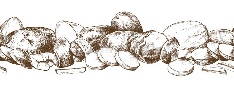 Cartofii tăiați în întregime, decojiți și fără sudură, fără sudură. ilustrație grafică desenată cu cerneală brună. vector EPS royalty free illustration