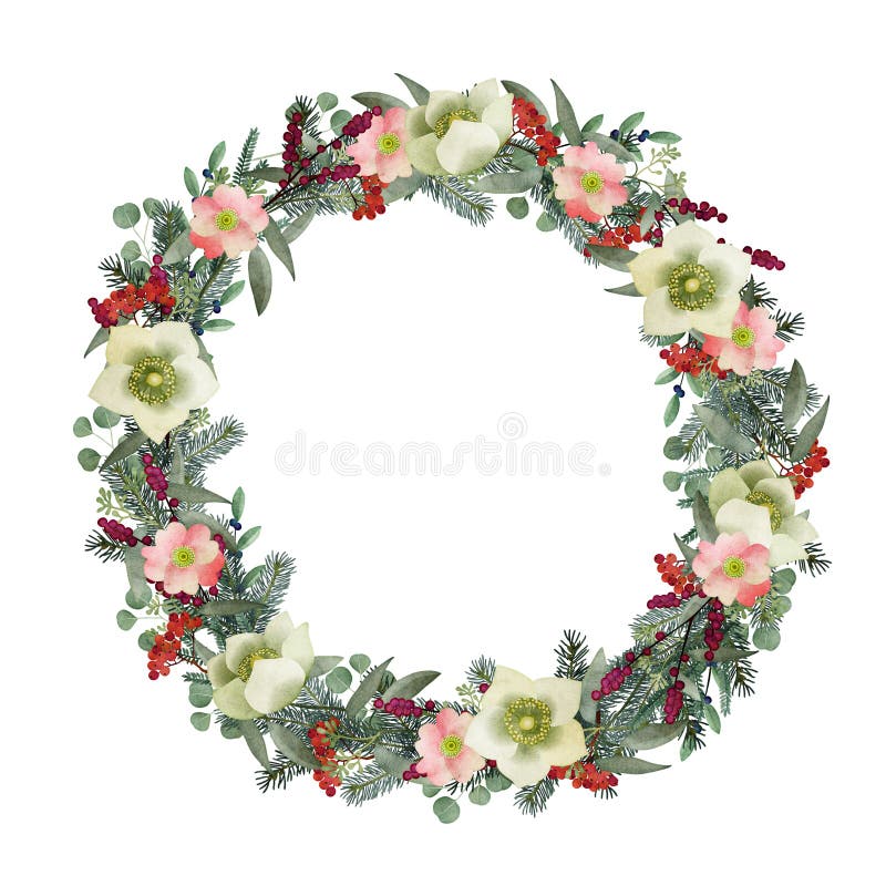 Cartolina d'auguri di inverno, invito Corona di Natale dell'acquerello Abete, rami dell'eucalyptus, rose selvatiche, fiori degli royalty illustrazione gratis Cartolina d'auguri di inverno, invito Corona di Natale dell'acquerello Abete, rami dell'eucalyptus, rose selvatiche, fiori degli royalty illustrazione gratis