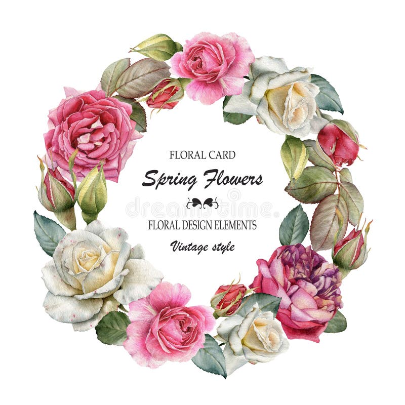 Cartolina d'auguri floreale con una struttura delle rose dell'acquerello Corona dei fiori illustrazione di stock