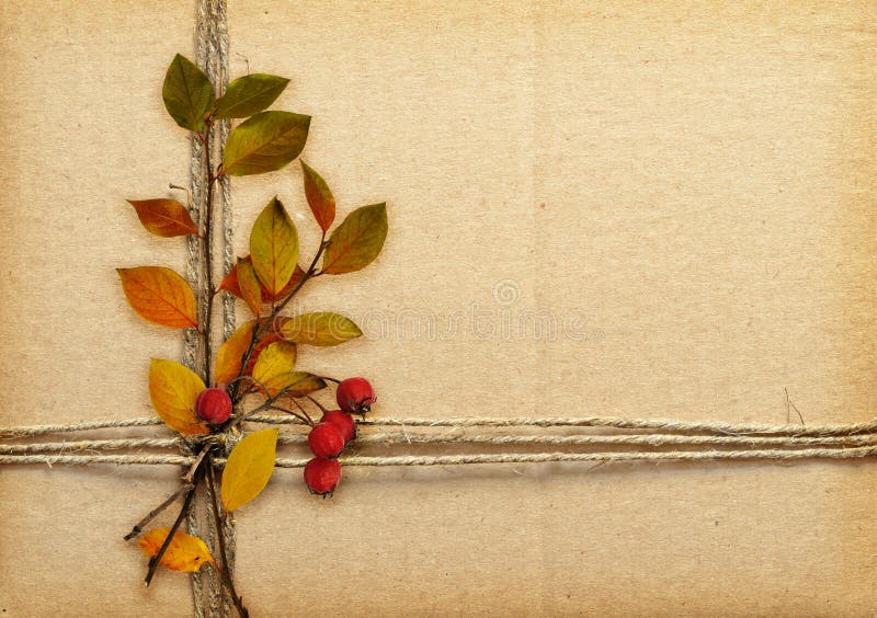 Carton de Brown attaché avec la corde, les feuilles d'automne et les baies rouges photo stock Carton de Brown attaché avec la corde, les feuilles d'automne et les baies rouges photo stock