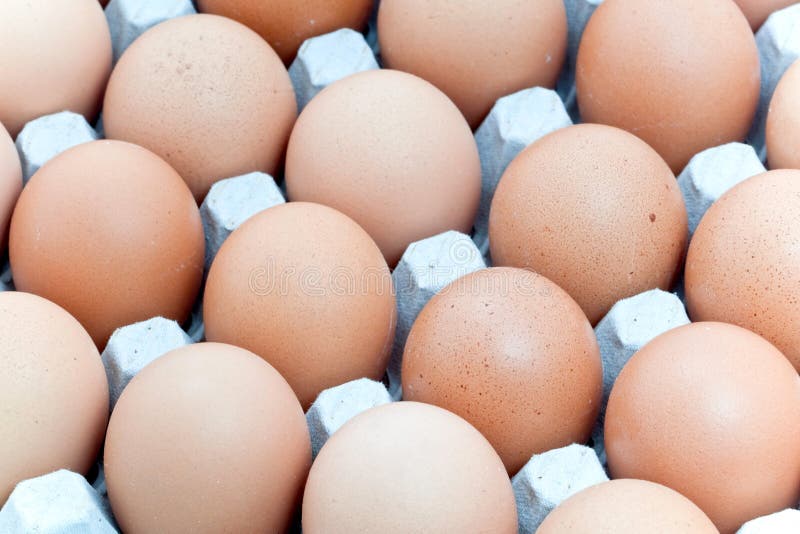 Carton of eggs stock image. Image of ingredients, details 13579677