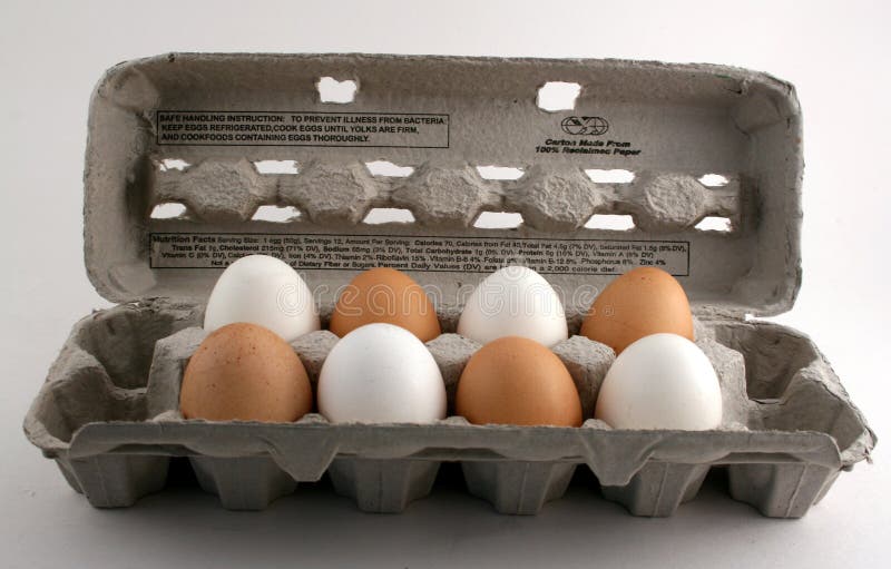 Carton of Eggs stock photo. Image of healthy, chicken 3164198