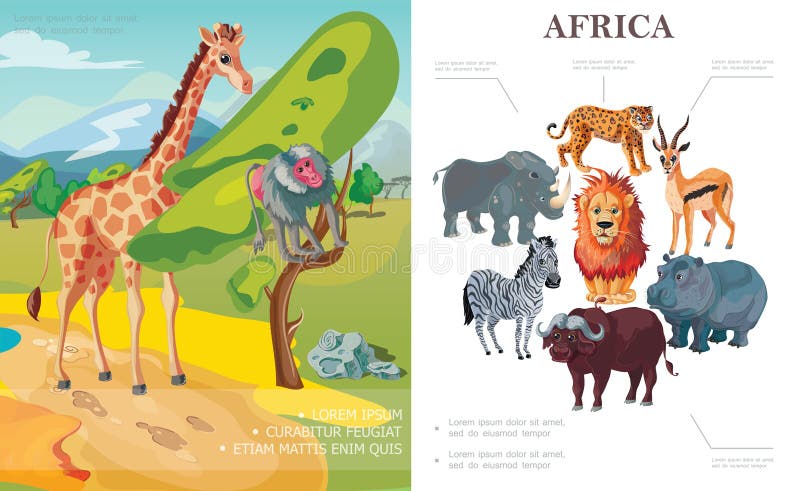 Cartoon African Animals Concept Stock Vector - Illustration of rhino,  concept: 147826064