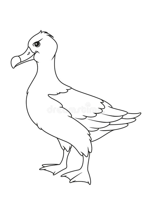 Cartoon Albatross Coloring Page Stock Vector - Illustration of kids