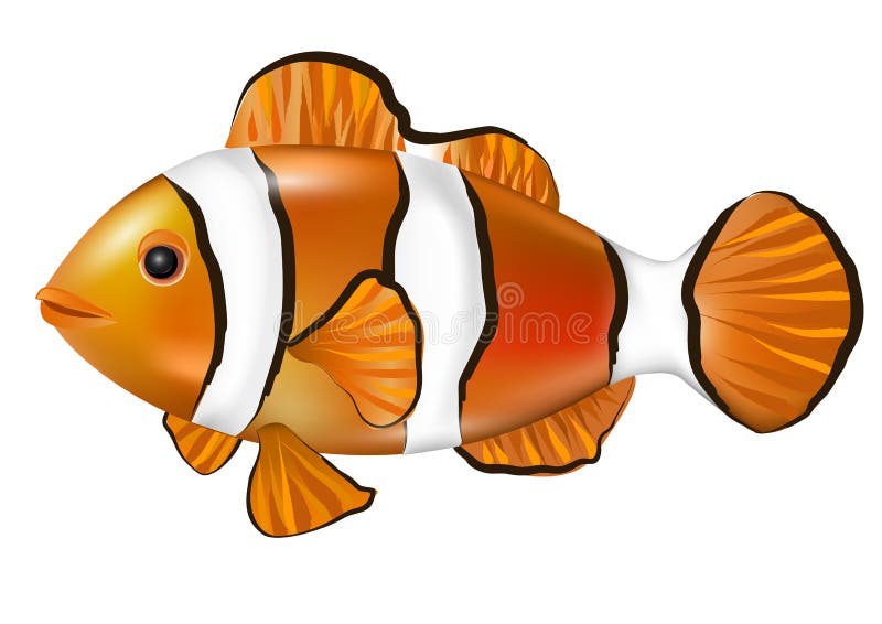 Cartoon Anemonefish. Clown Fish Nemo Stock Illustration - Illustration of shop, decorative: 186776057 Cartoon Anemonefish. Clown Fish Nemo Stock Illustration - Illustration of shop, decorative: 186776057
