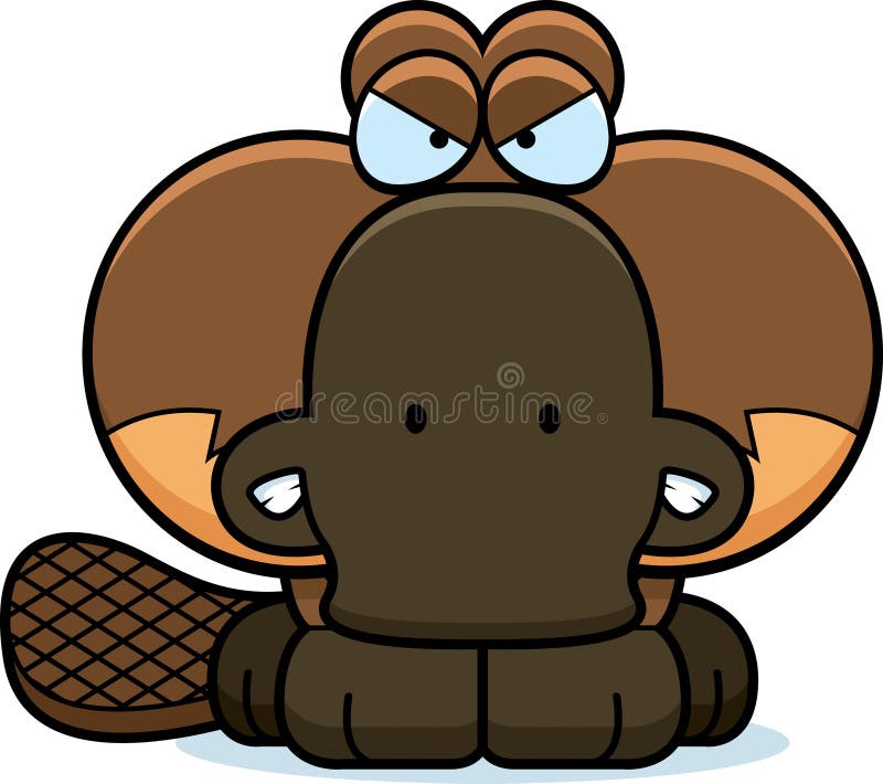 Cartoon Angry Platypus stock vector. Illustration of platypus - 47476024