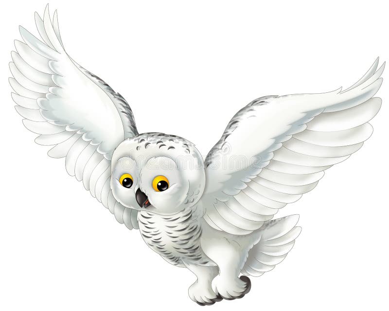 Snowy Owl Cartoon Images - Resenhas de Livros