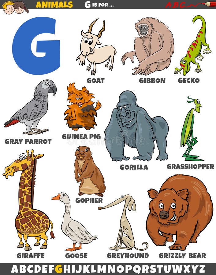 Greyhound Dog Cartoon Illustration Stock Vector - Illustration of ...