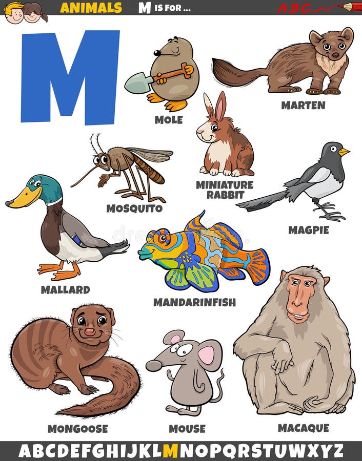 Cartoon Alphabet Characters M Stock Illustrations – 61 Cartoon Alphabet ...