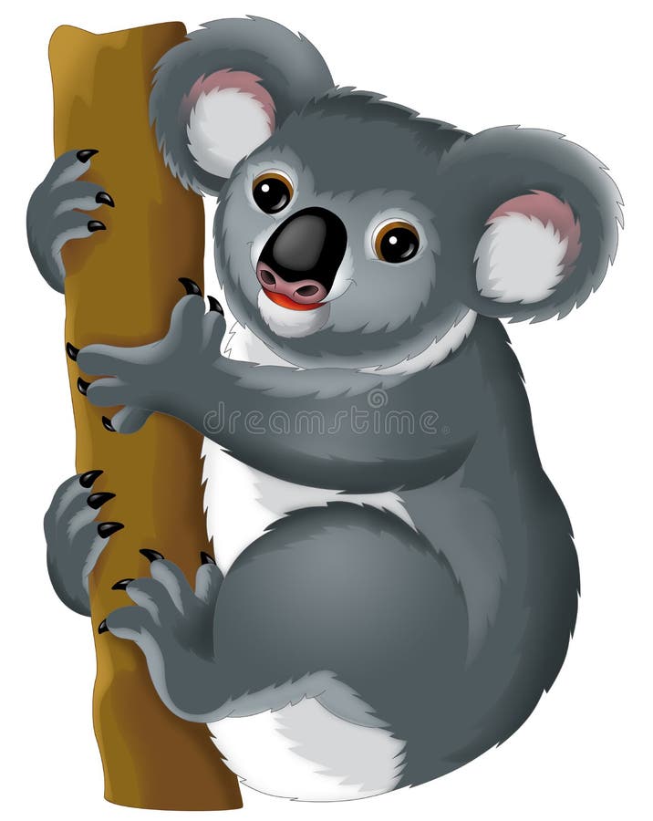 Cartoon Animal - Koala Bear Stock Illustration - Illustration of cute, bear: 42215057 Cartoon Animal - Koala Bear Stock Illustration - Illustration of cute, bear: 42215057