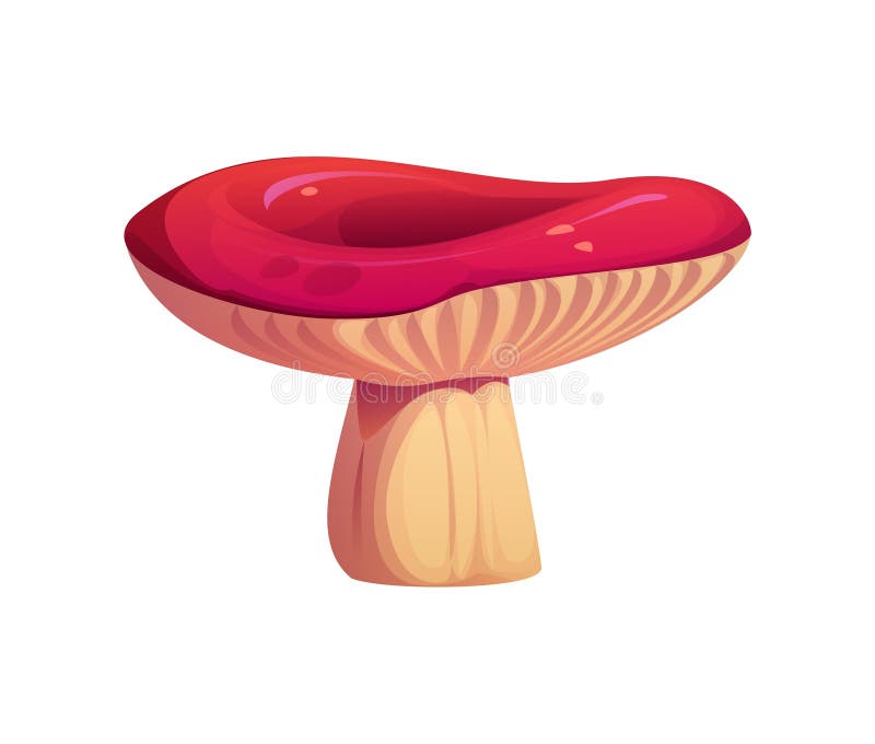 Cartoon autumn mushroom with a wide, flat top vector illustration
