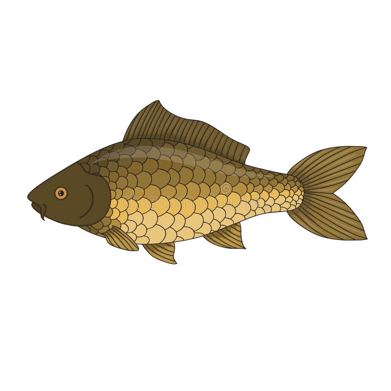 Bass Fish Cartoon Stock Illustrations – 1,432 Bass Fish Cartoon Stock