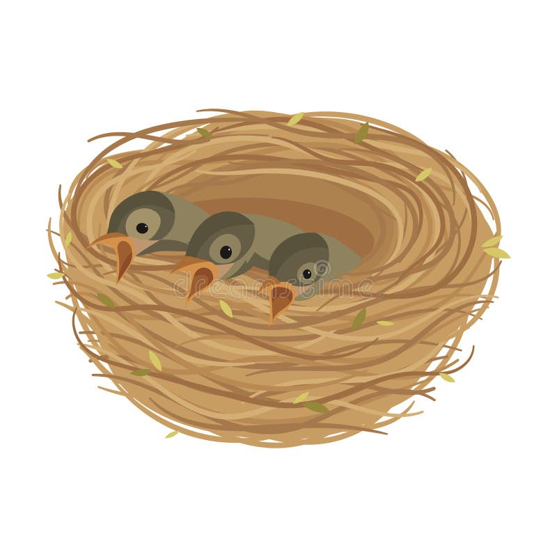 Cartoon Bird`s Nest with Chicks. Vector Illustration for Children.  Springtime. Stock Vector - Illustration of flying, baby: 157659736