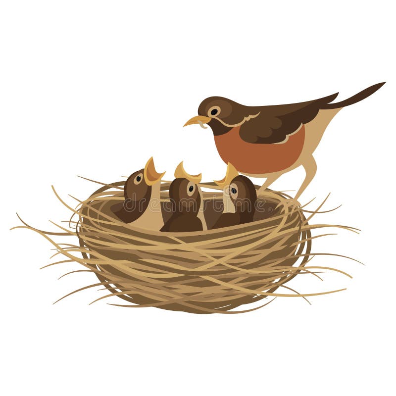 Cartoon Bird`s Nest with Chicks. Vector Illustration for Children.  Springtime. Stock Vector - Illustration of game, character: 157659760