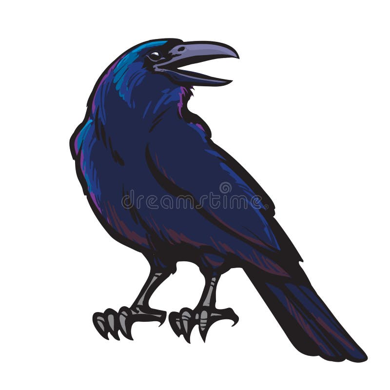 Cartoon black crow isolated on white background. Raven Halloween character. Hand drawn sketch style vector stock illustration