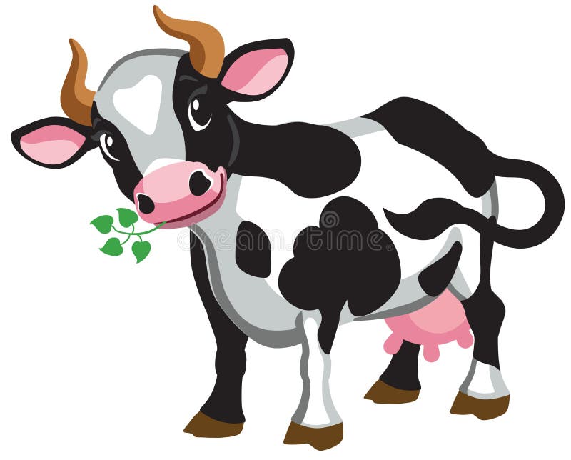 Cartoon black spotted cow isolated on white